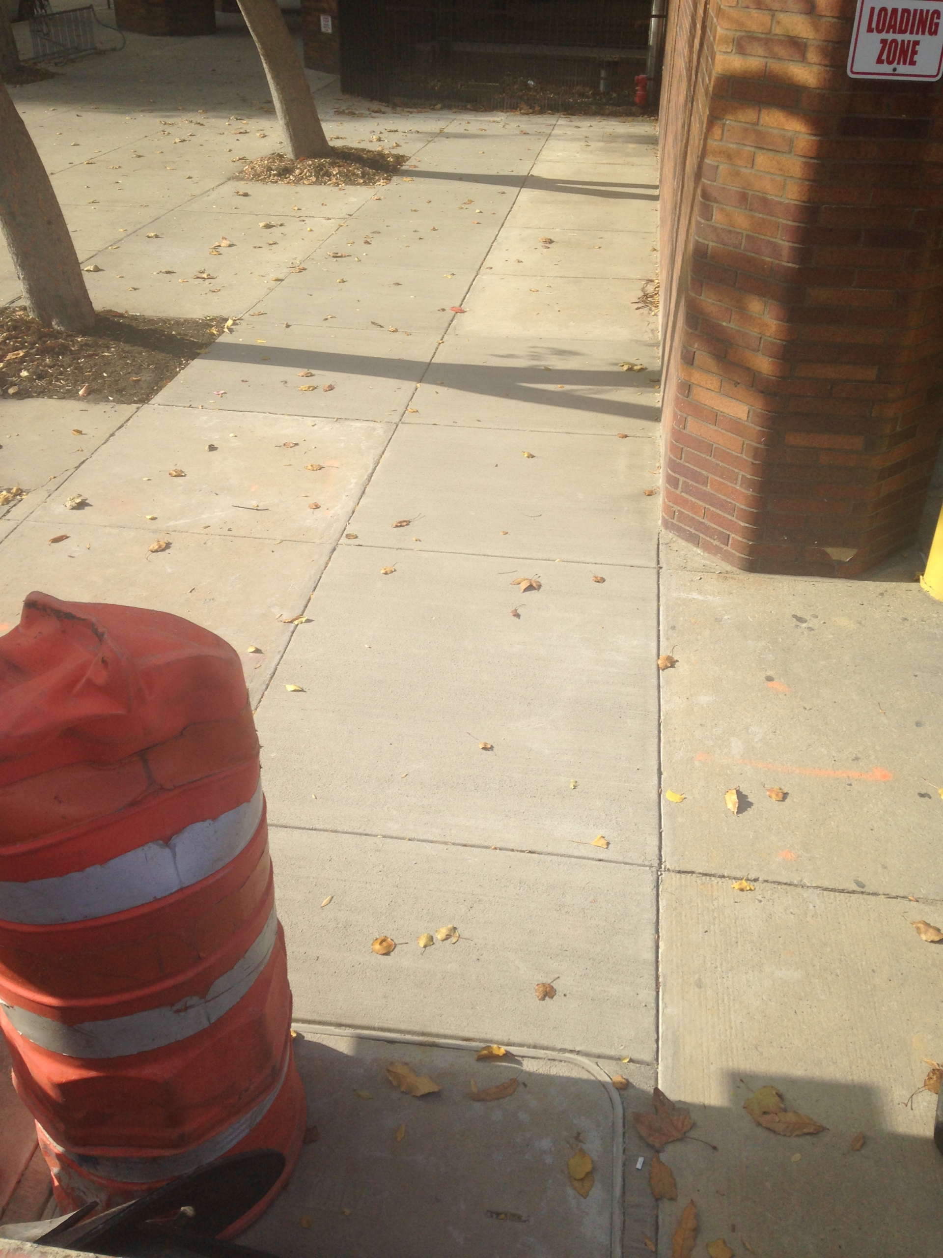 Commercial concrete sidewalk